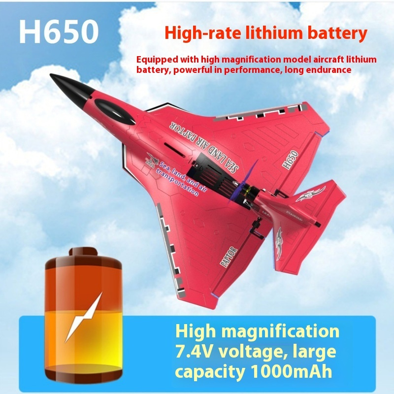 Rc Wing Glider - H650大型RC飛行機 防水・耐衝撃性 陸上・空中両用 ラプターRCラプター 固定翼フォーム航空機 屋外グライダー