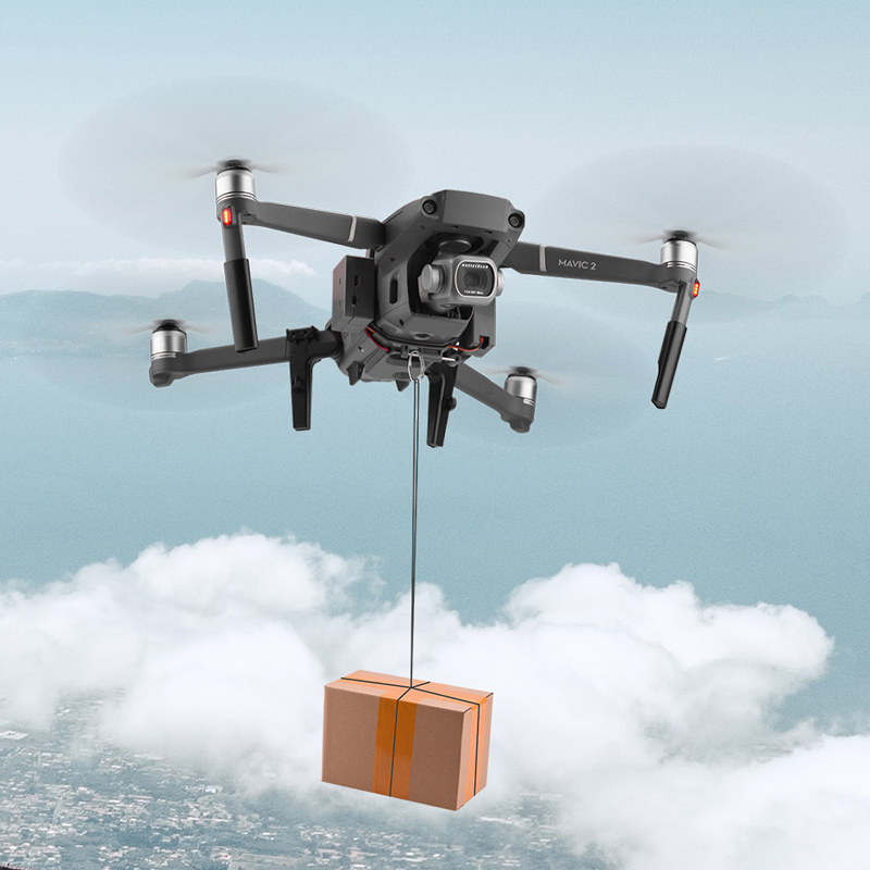 Dji mavic 2 pro/ズームリング用brdrc a - Drone Dji Rc 2 のレビューと価格
