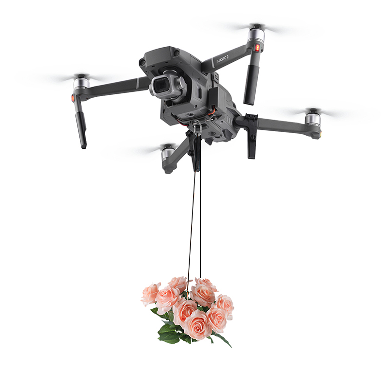 Dji mavic 2 pro/ズームリング用brdrc a - Drone Dji Rc 2 のレビューと価格